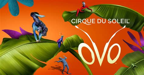 ovo lausanne|OVO : Touring Show. See tickets and deals 